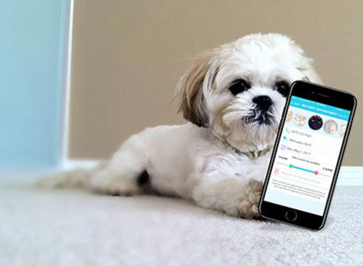 5 'apps' to Help Us With Pets